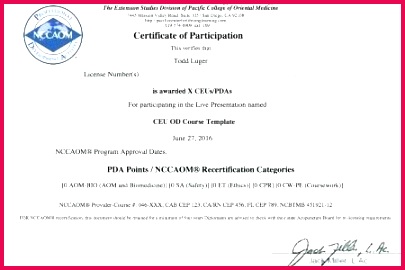 place certificate template word awesome free resume examples training image of doc