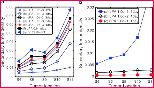 free business t certificate template model