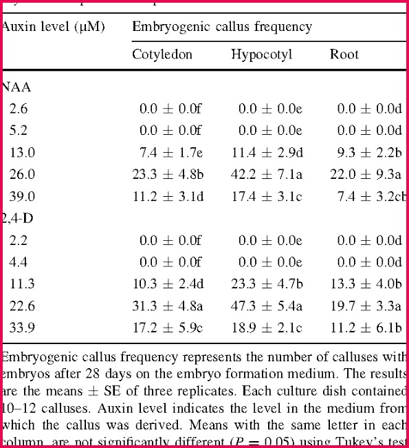 frequency table template therapy notes professional empty free blank certificate templates for word birth templa