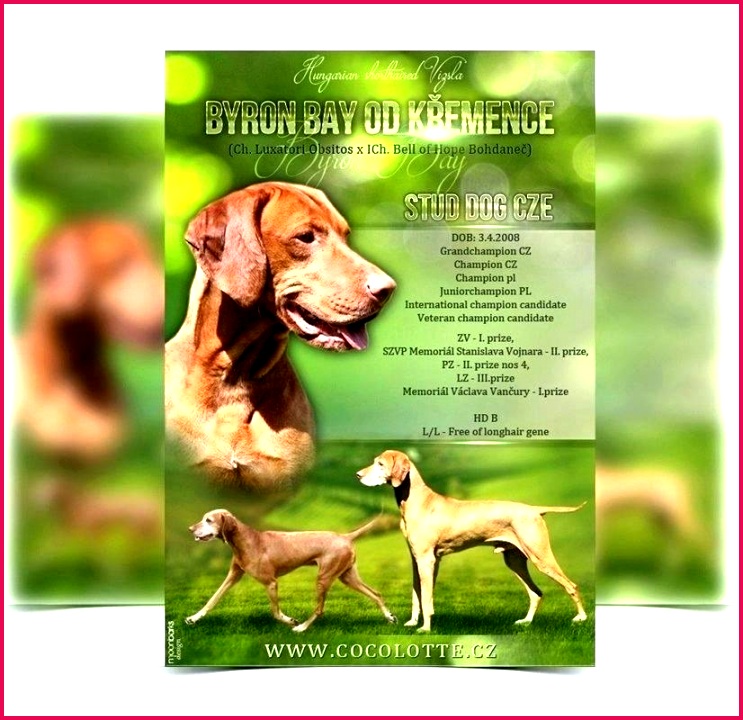 dog health record form luxury pet birth certificate template unique records templates awesome plate plates inspirational walking flyer fresh best re