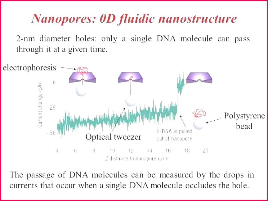 Download ¢†¡ Make A Gift Certificate Template Free Inspirational Xmas Gift Free