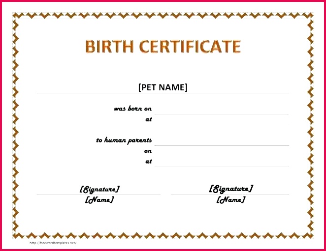 great birth certificate templates pictures