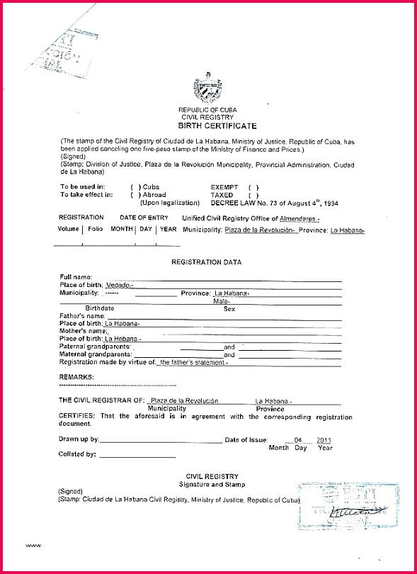 birth certificate translation template to from vietnamese english