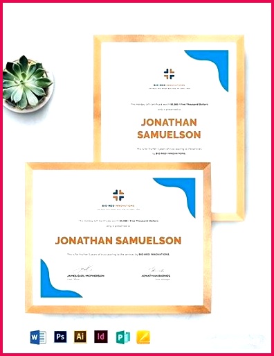 pany t certificate template certificates in adobe illustrator word publisher apple pages template pany t voucher template pany t certificate template