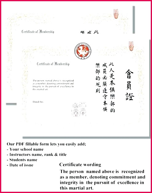 karate certificate template generic belt training templates