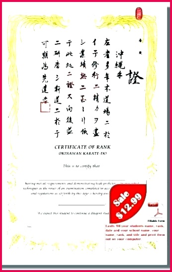martial arts t certificate template beautiful art templates free award clipart certifi