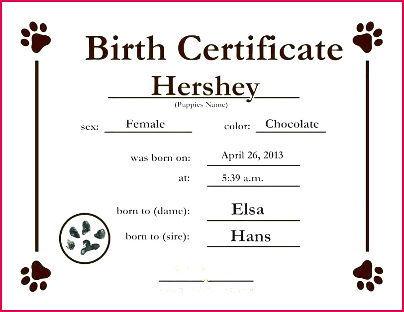 create your own certificate template templates award excellence custom maker literals make awards certificates design new web server