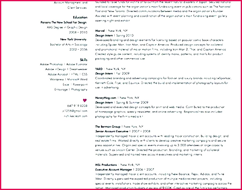 functional resume template word elegant cv 2010 templates in ms free