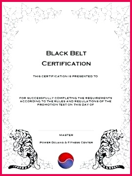 martial arts t certificate template 270360 certificate template karate free design templates martial arts t for websites