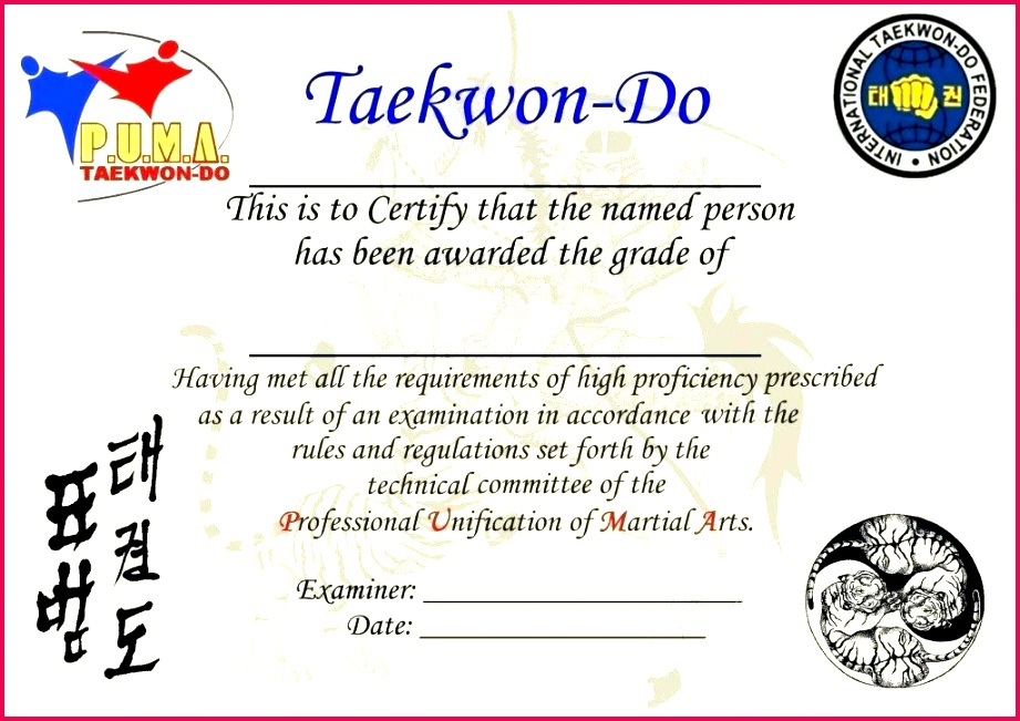 martial arts rank certificates templates free certificate border for cv t template powerpoint 2018