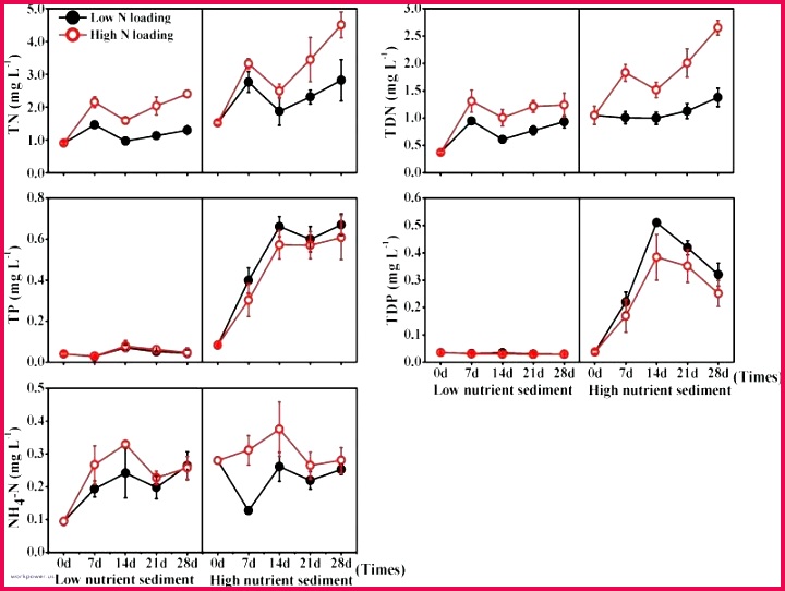 free massage t certificate template anniversary therapy for resume mas