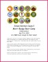 3 Merit Badge Certificate Template