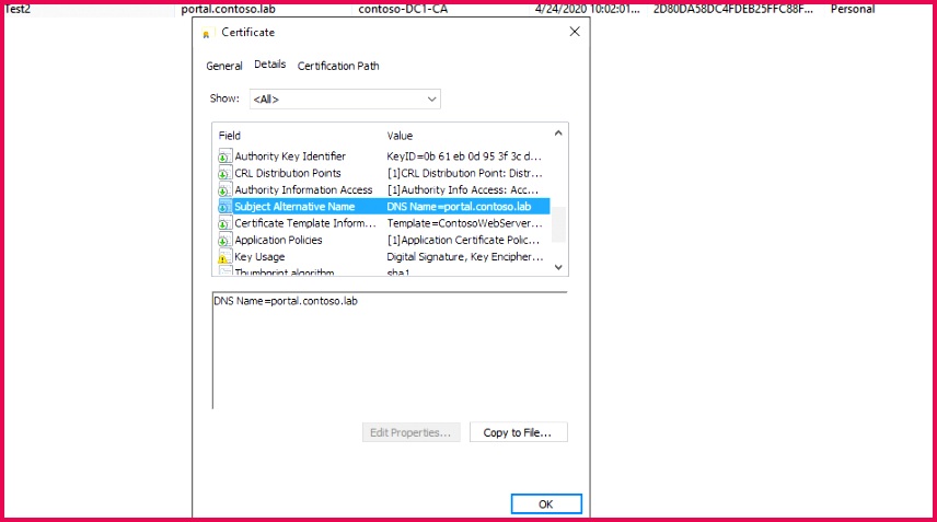 The end result should be a successful encrypted connection with the SAN name present when you browse to it with Google Chrome