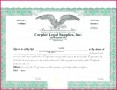 6 Microsoft Publisher Stock Certificate Template