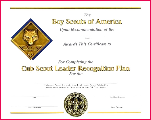 best of boy scout certificate appreciation templates free girl bridging template military powerpoint blank t certifica