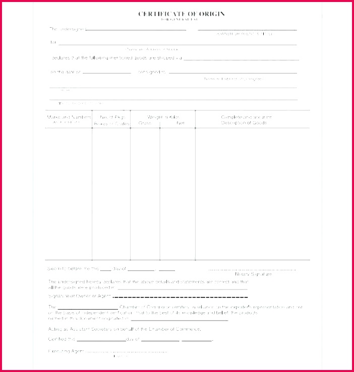 us certificate origin form manufacturer of template south africa kuwait