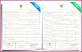 5 Notarized Translation Of Birth Certificate Sample