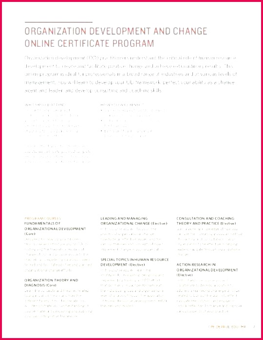 free dog birth certificate template word unique training do not enter templates specialization c header certifica