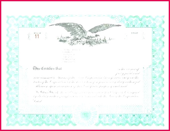 free stock certificate template gorgeous family reunion invitation templates free share certificate template free share certificate template australia