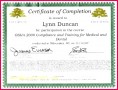 4 Osha Certificate Of Completion Template