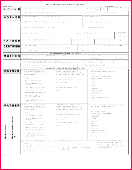 printable birth certificate template blank florida monster templates