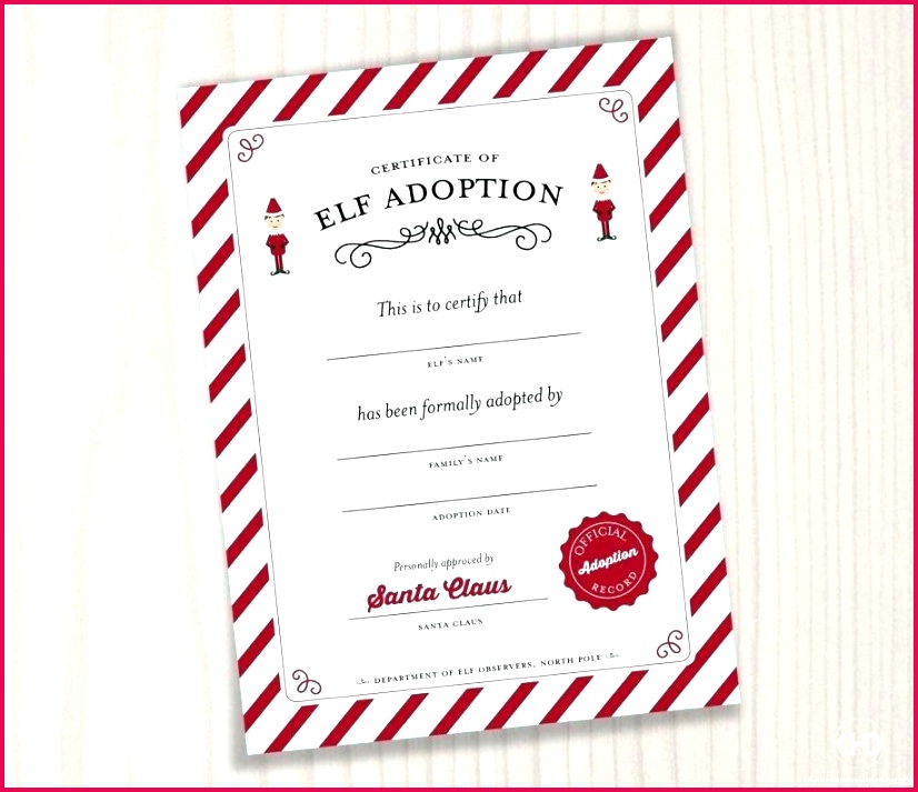 adoption certificate templates dog pet template paw patrol admission pet adoption letter template graphic design templates website adoption certificate templates dog adoption certificate templates pet