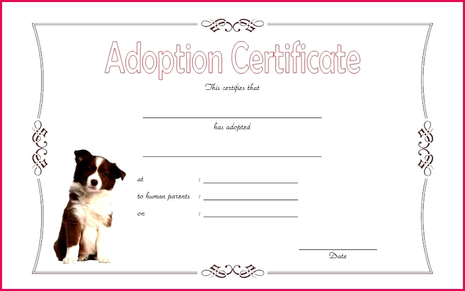 dog adoption paper pet certificate template the best generic form blank papers sample
