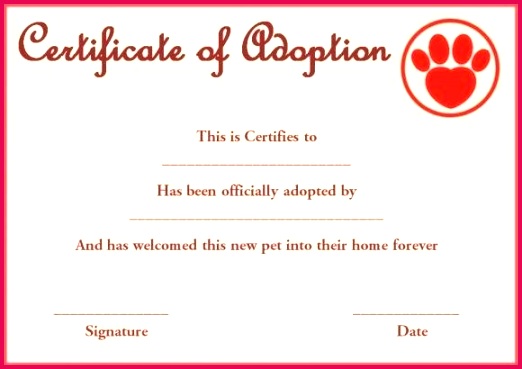 pet rock adoption certificate template puppy templates birth free