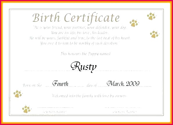 blank birth certificate template california templates cute free
