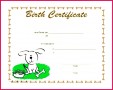 6 Pet Rock Adoption Certificate Template
