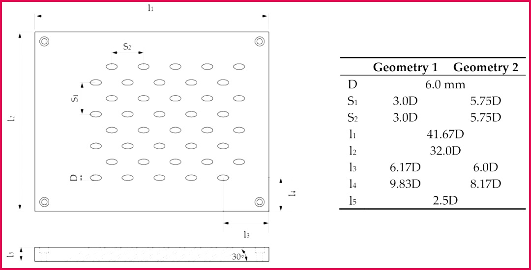 horseback riding t certificate template free science powerpoint template luxury 23 science powerpoint