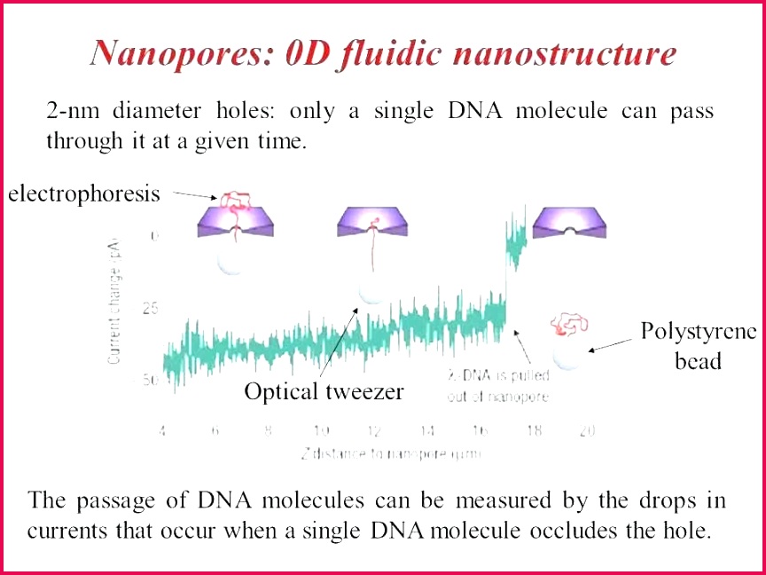 kindergarten graduation program templates best of certificate template word awesome top result free printable preschool kindergart