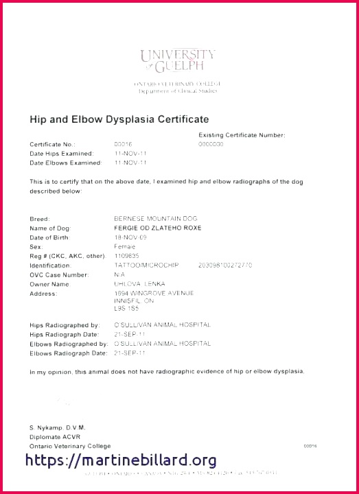 uk birth certificate template fake templates new best images on of service dog e fresh baby unique friendship full exa