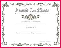 efc0aa9de2ea fe b7868