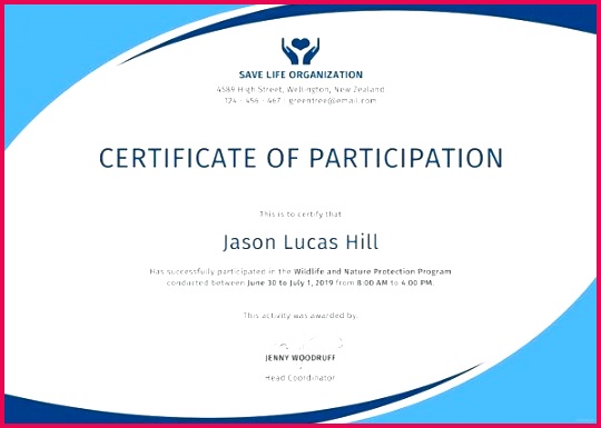 certificate of participation design – rprsnt 385540 program participation certificate template of design psd free