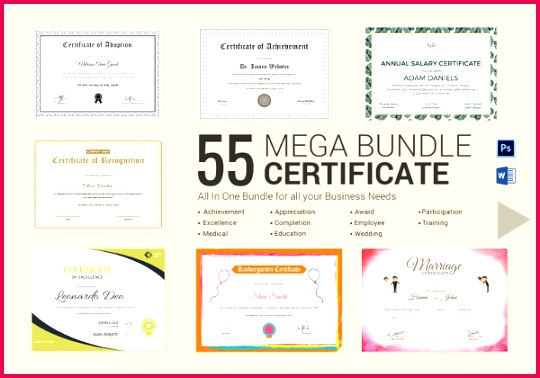 Best Mega Certificate Bundle