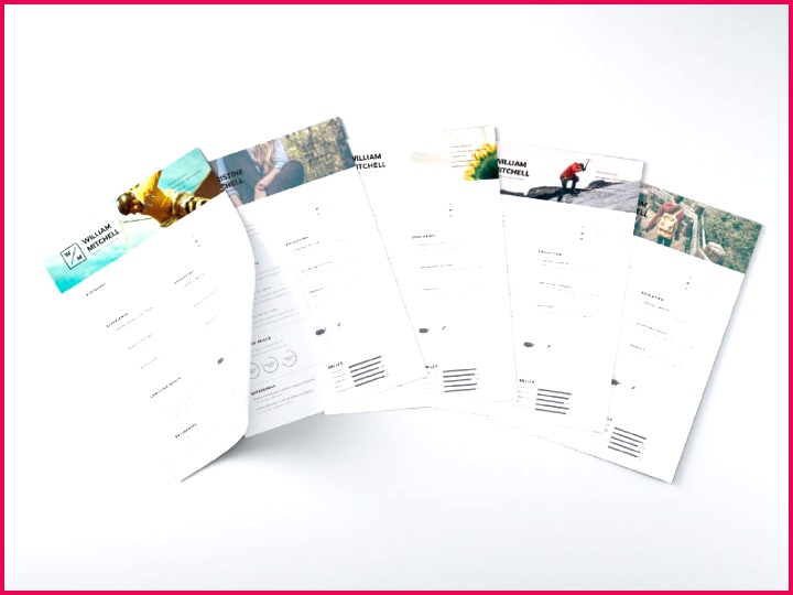 free minimal clean resume template