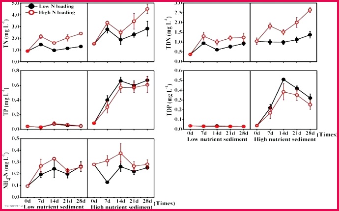 training certificate template word inspirational free sample t