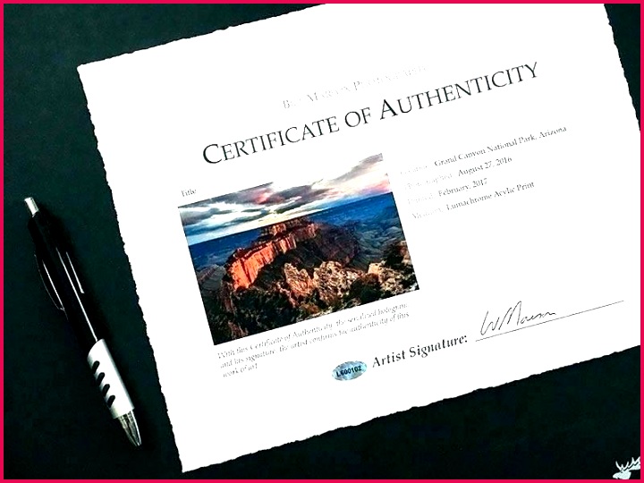 signature certificate of authenticity template limited edition print certificate of authenticity template intended signature certificate of