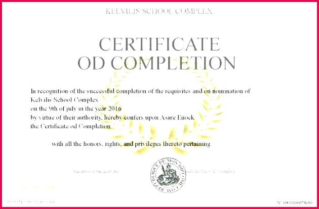 certificate of successful pletion template blank certificate of pletion template successful certificate of successful pletion template