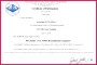 6 Sample Certificate Of Participation Template