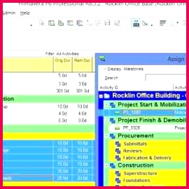 free collection birthday t certificate template free printable custom t format