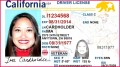 3 Sample Marriage Certificate California