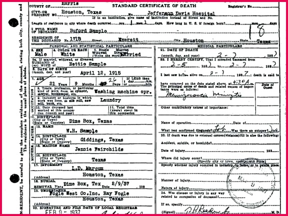 sample certificate in florida and birth certificate texas unique certificate form example copy of sample certificate in florida