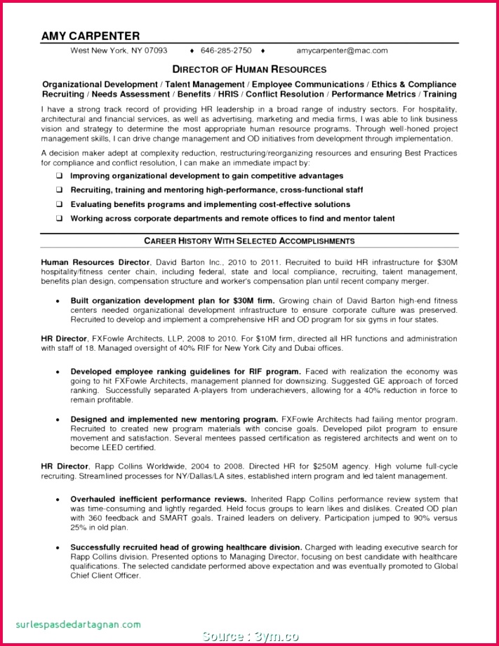 simpleusiness plan template word free sample photos tiger growl 791x1024