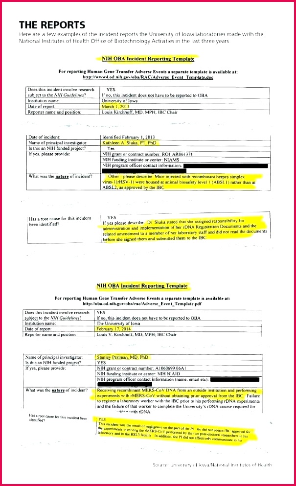 scholarship guidelines template beautiful report card essay samples free lovely old