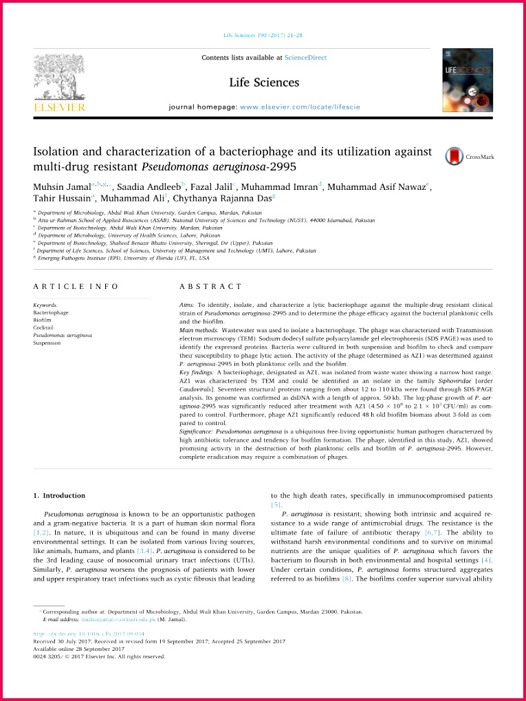 PDF Isolation and characterization of a bacteriophage and its 7651019 largepreview
