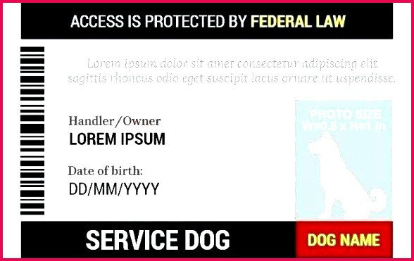 modern business card templates unique template lovely cards access service dog id card template badge free access time for using the designer access card template request form desktop time card access