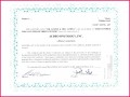 3 Share Certificate Template Pdf