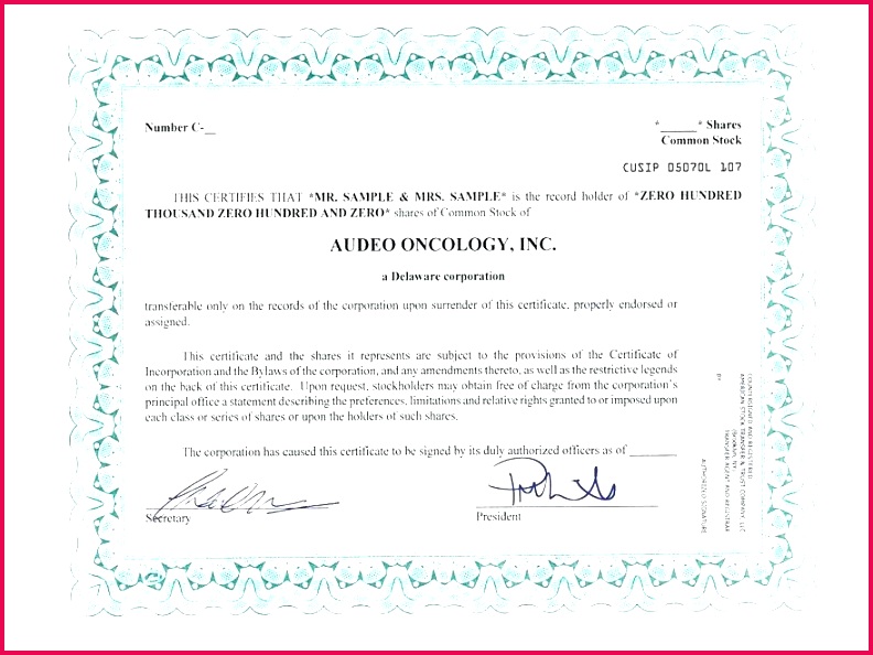 form of share certificate stock transfer template word excel